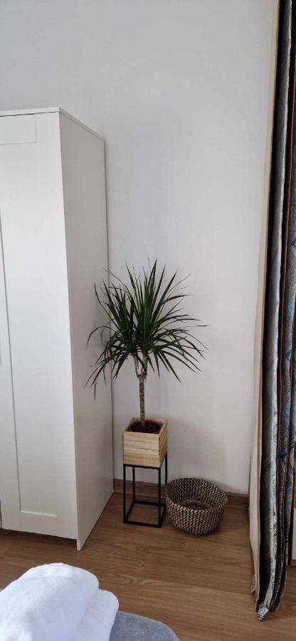 Студио Тони 2 Warna Exterior foto