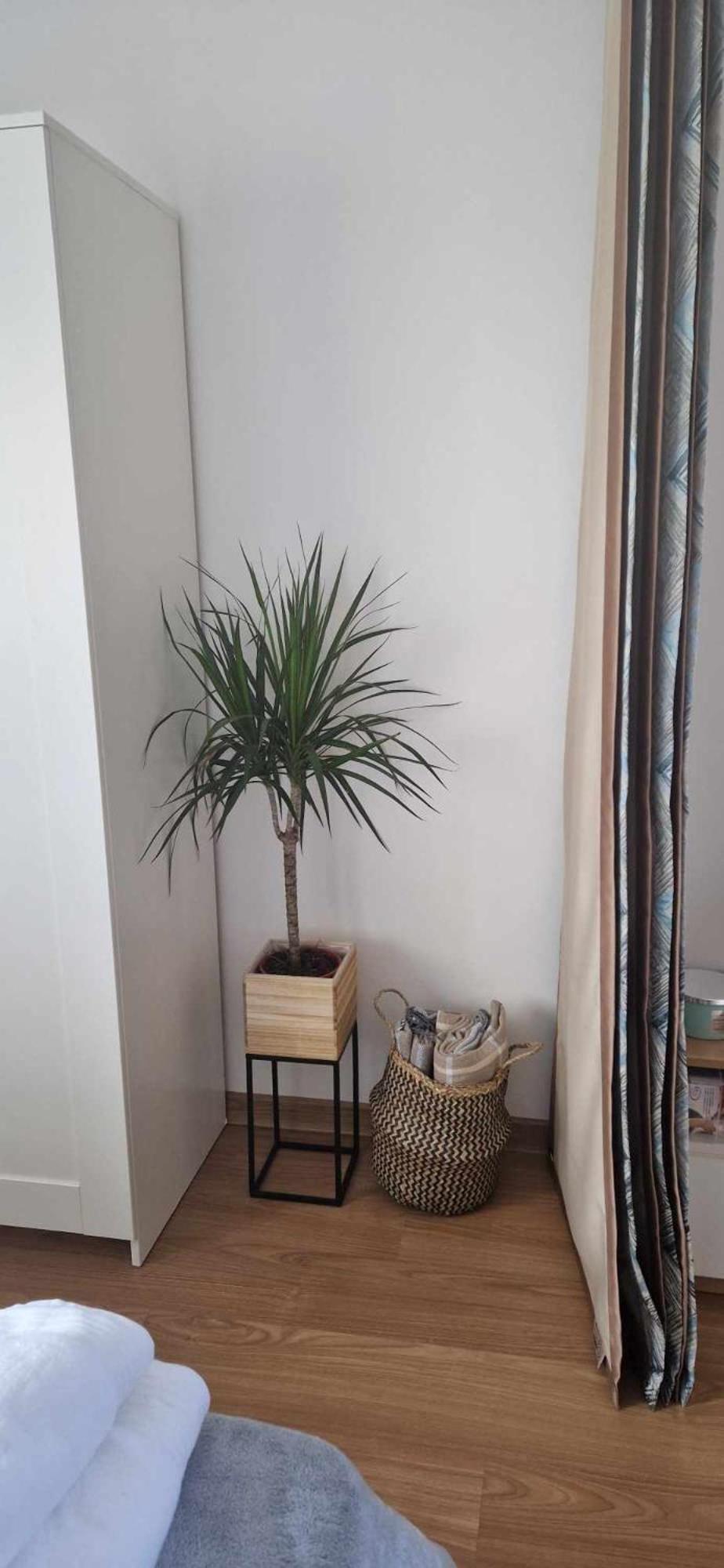 Студио Тони 2 Warna Exterior foto